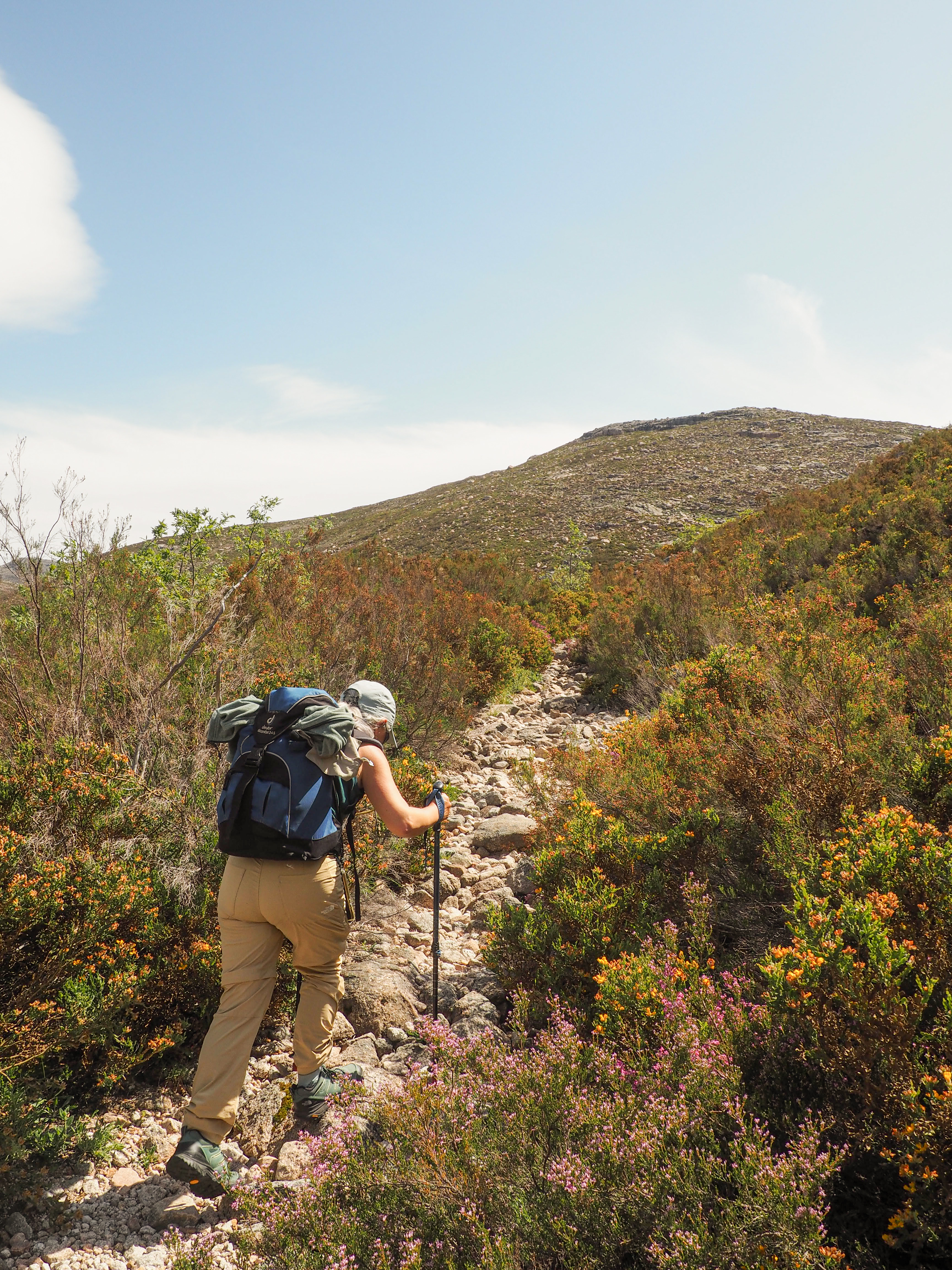 Caminhante em trilho no Gerês